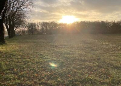 Bodemonderzoek - hopveld